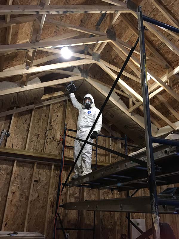 Silvano working in the Puppet Nest